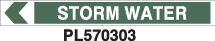 PL570303