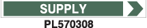 PL570308