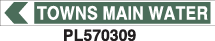 PL570309