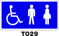 T029